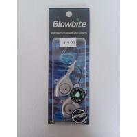 Glowbite Softbait Jigheads with LED lights 1oz